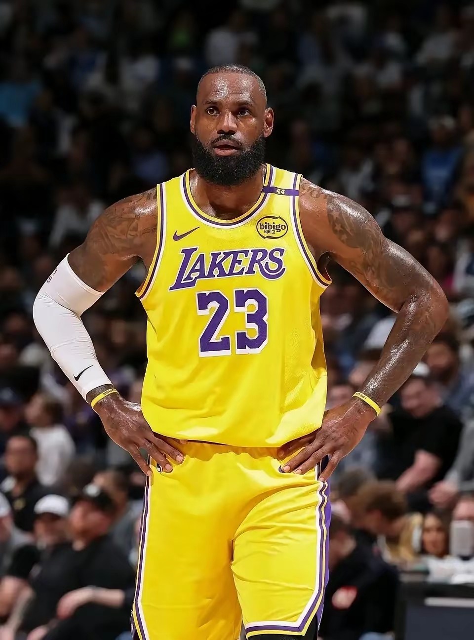 Milan Sports-关于国际比赛日洛杉矶湖人备战德甲，刷新队史纪录细节曝光，目标明确，轮换策略成焦点的信息